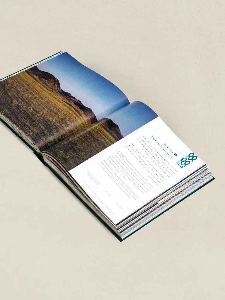 OPEN BOOK 10.webp